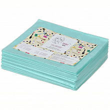 Простыни одноразовые 0.8х2 м, Panni Mlada (20 шт./уп.). Цвет: мятный Простыни одноразовые 0.8х2 м, Panni Mlada (20 шт./уп.). Цвет: мятный